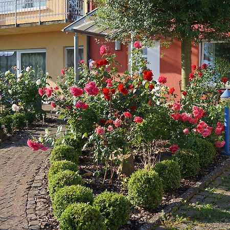 Ferienhaus Schloss-Garten Kapellen-Drusweiler Dış mekan fotoğraf