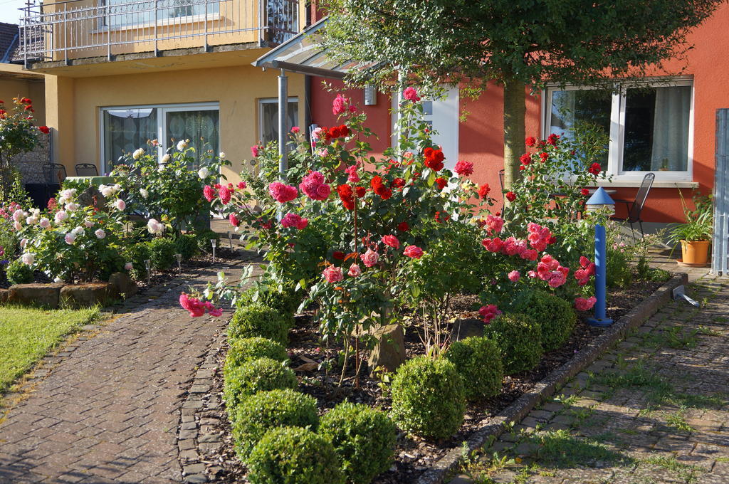 Ferienhaus Schloss-Garten Kapellen-Drusweiler Dış mekan fotoğraf