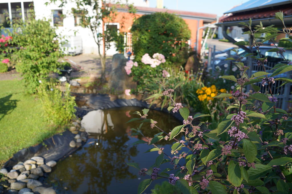 Ferienhaus Schloss-Garten Kapellen-Drusweiler Dış mekan fotoğraf